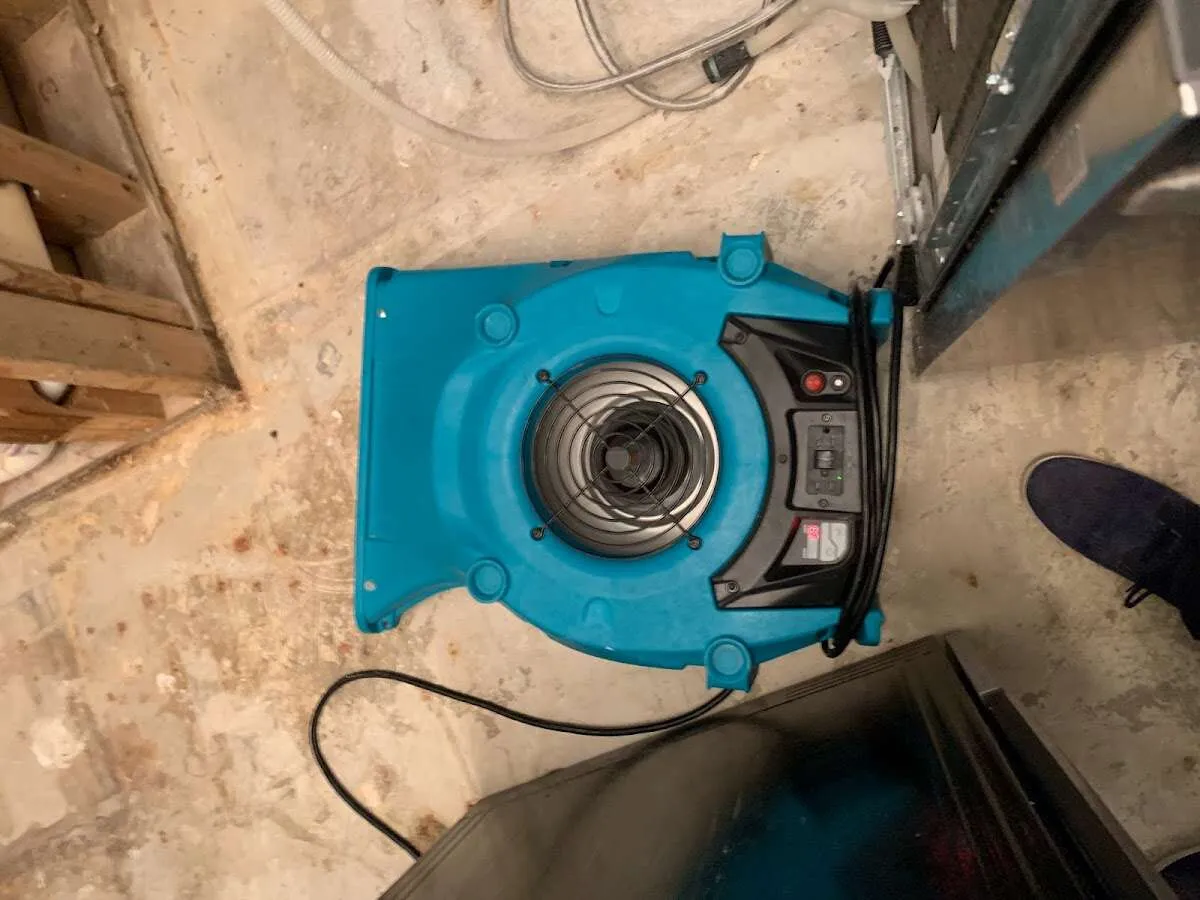 Air mover drying equipment for Mold Remediation & Removal in Poinciana